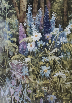 Online Workshop | Into the Wilderness with Watercolor