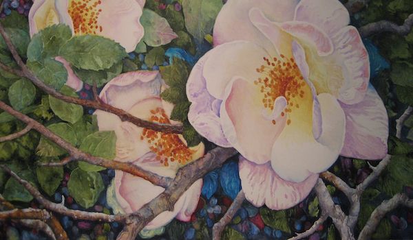 NEW! ONLINE - Blossom Time in Watercolor