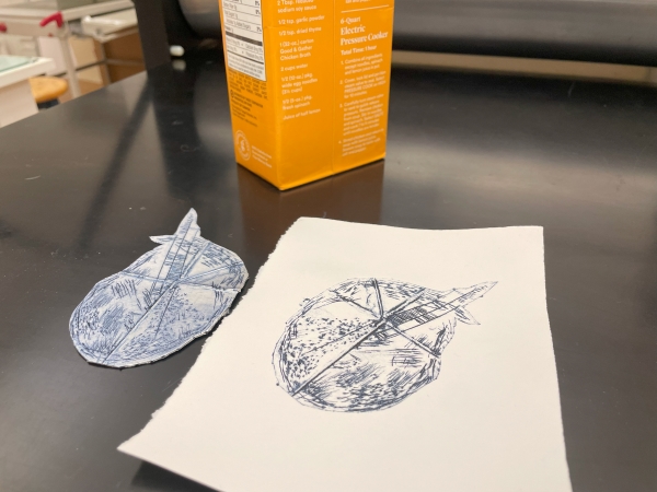 Ages 11-13 | Printmaking with Milk Cartons