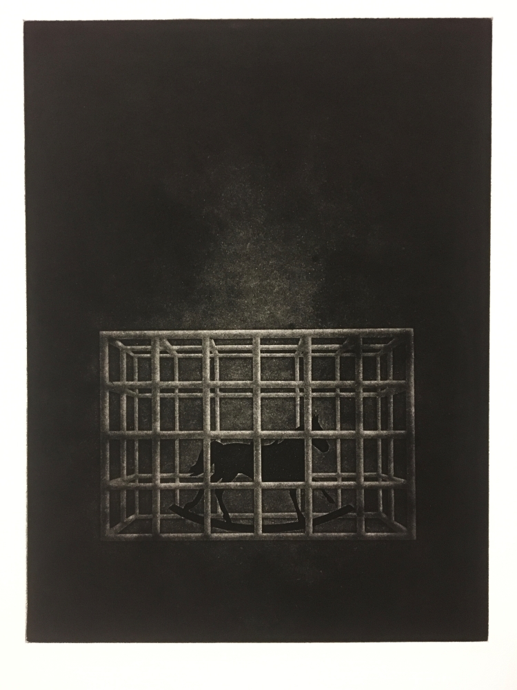 Adventures in Intaglio
