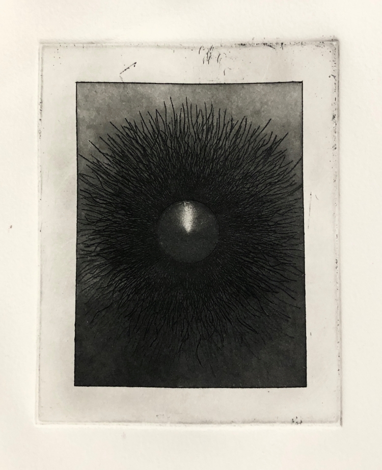 Modern Intaglio: Non-Toxic Copper Etching