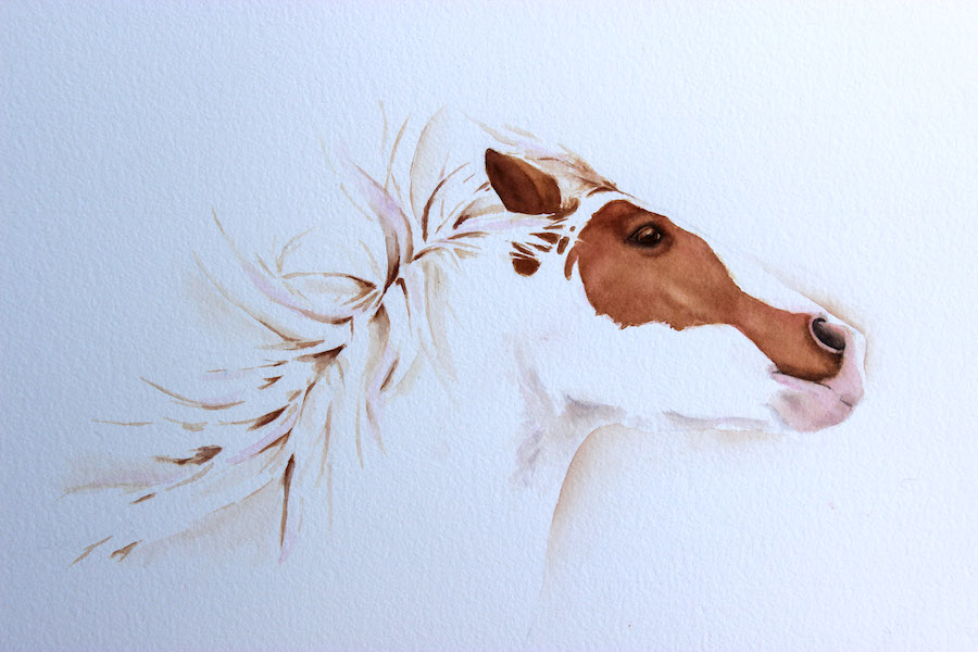 Watercolor, Paint What YOU Want!