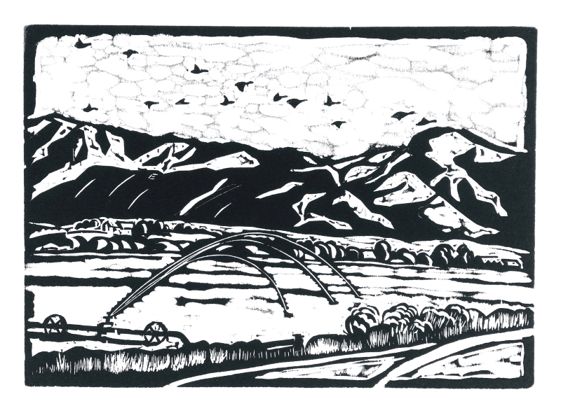 Woodcut Printmaking, With or Without a Press