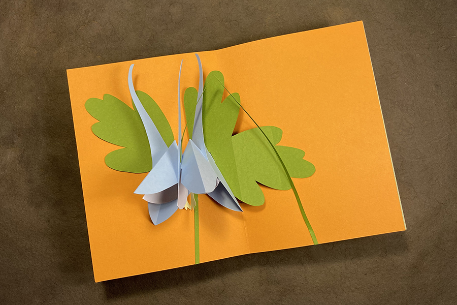 Make a Book of Pop-Up Wildflowers