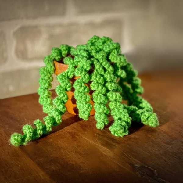 No Watering Needed: Crocheted Plants