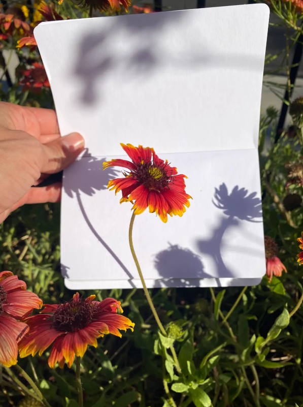 From Stillness to Expression: Slow Mindfulness Art Practices to Reconnect with Your Inner Artist