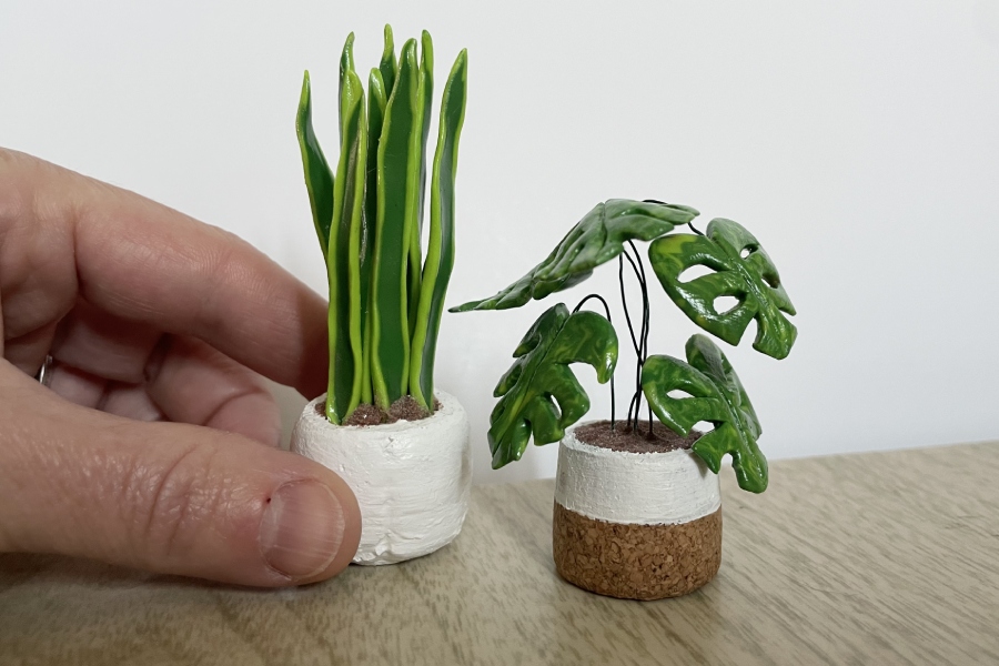 Sampler: Make Your Own Mini House Plants