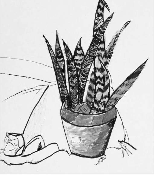 Ages 11-13 | Sketchbook Fantastic