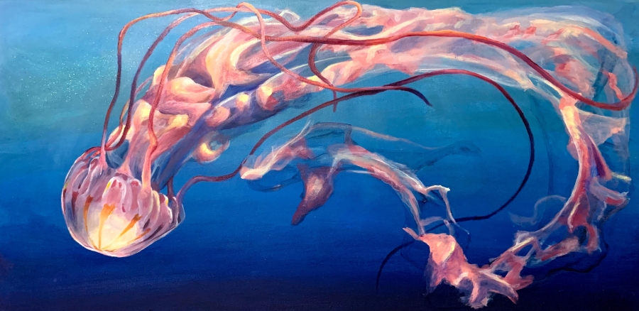 Ages 6-7 | Under the Sea