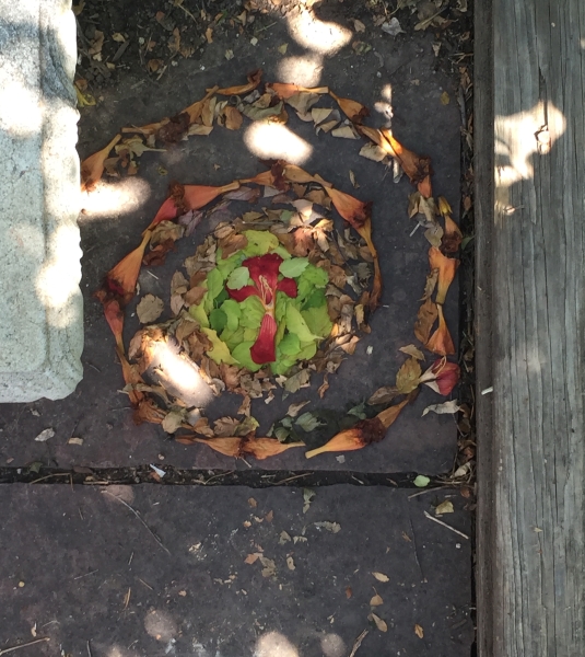 Ages 8-10 | Artist A Day