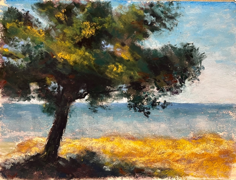 Ages 8-10 | Mini Masters