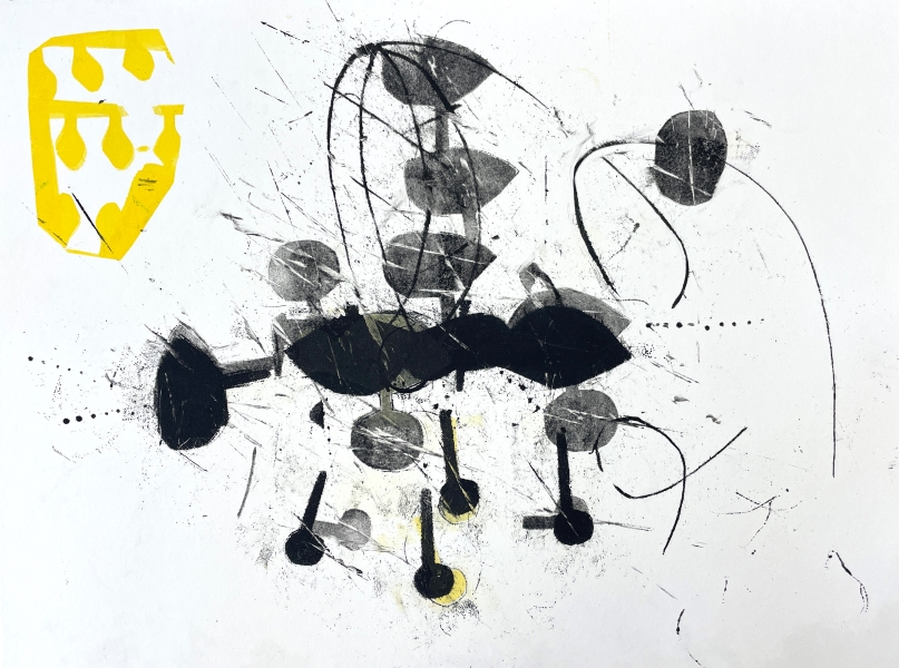 Ages 11-13 | Mad Science Monotypes