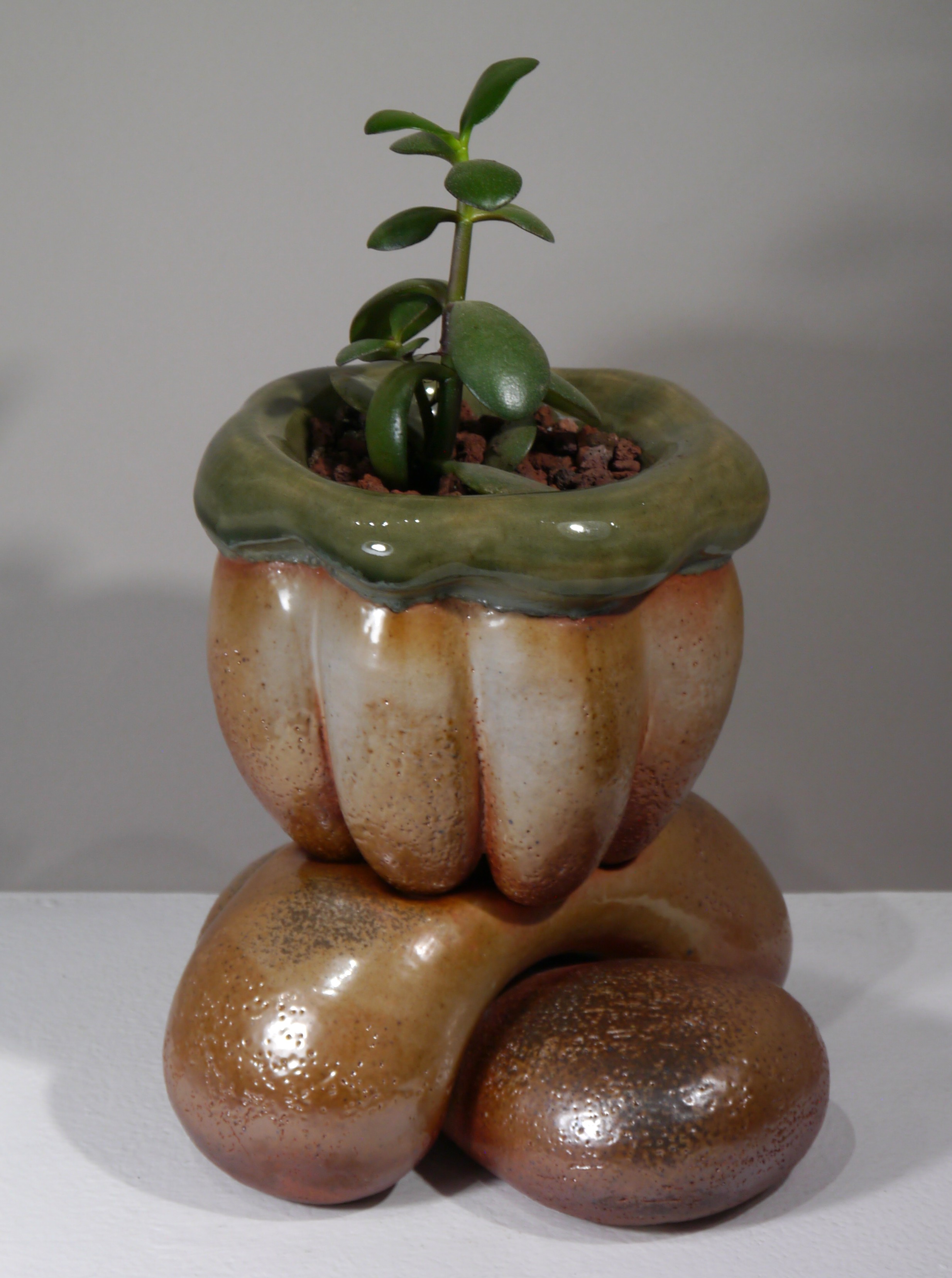 Sculptural and functional forms in clay