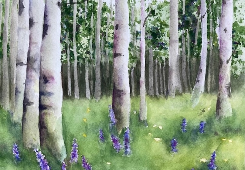 Aspens in Watercolor