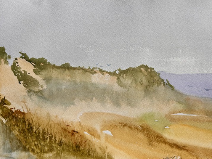 Watercolor Fundamentals: Novice to Seasoned
