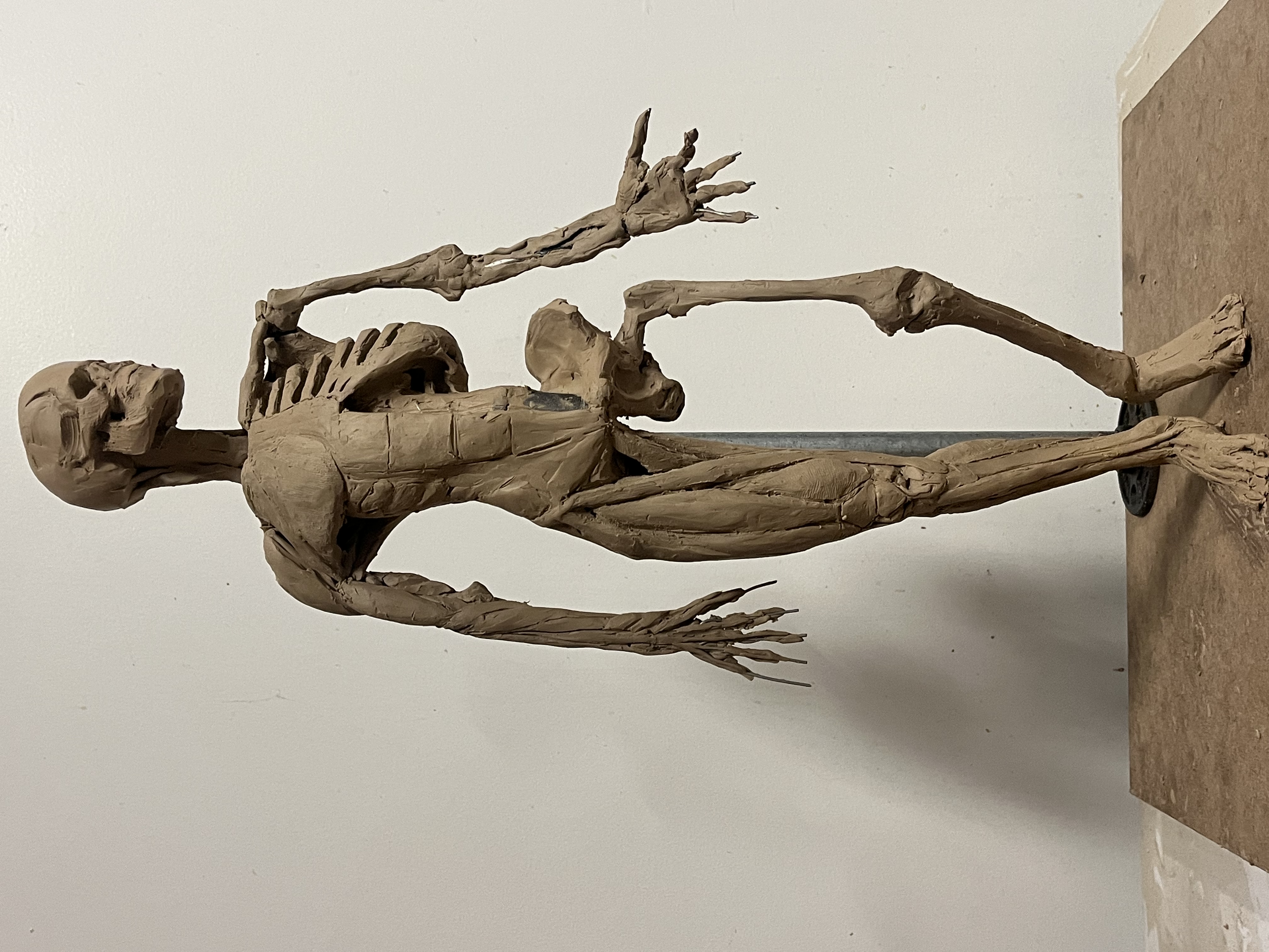 Écorché Sculpture: artistic anatomy from the skeletal system up