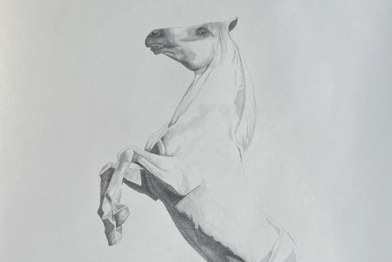 Beginning Drawing: Light, Shadow, and Form